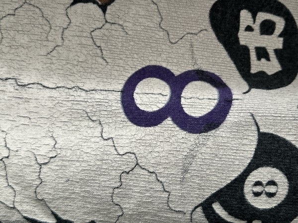 Please lc Stussy on hanes tag Skull