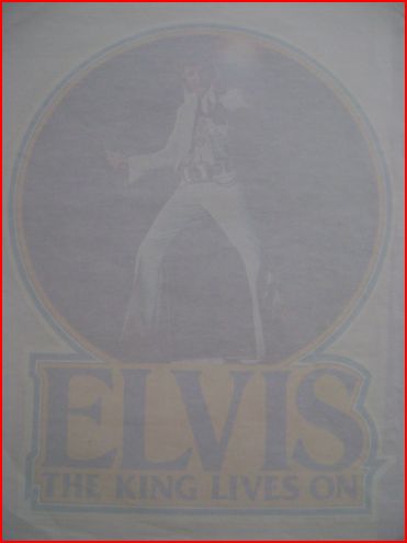 70s Elvis Print