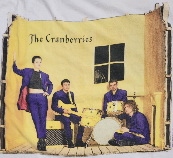 Like new? Vintage Free to Decide Cranberries
