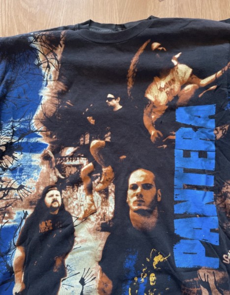 Pantera and Sting