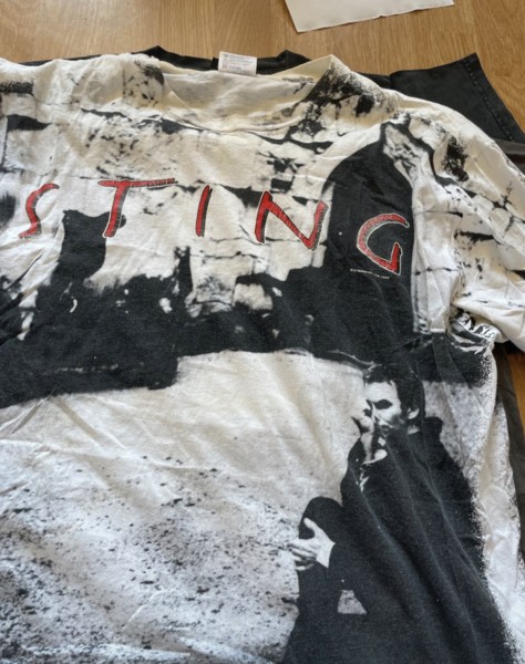 Pantera and Sting