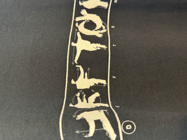 Deftones Karate Spellout AAA  Alstyle