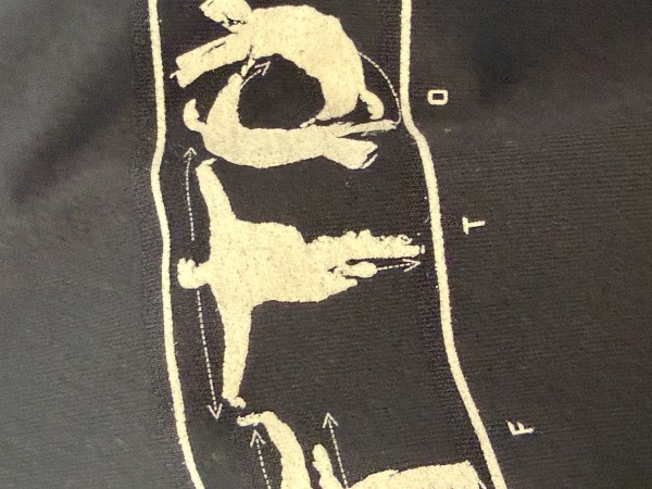 Deftones Karate Spellout AAA  Alstyle