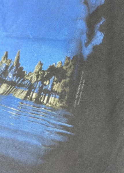 90s pink floyd lc check pls