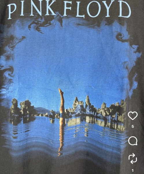 90s pink floyd lc check pls