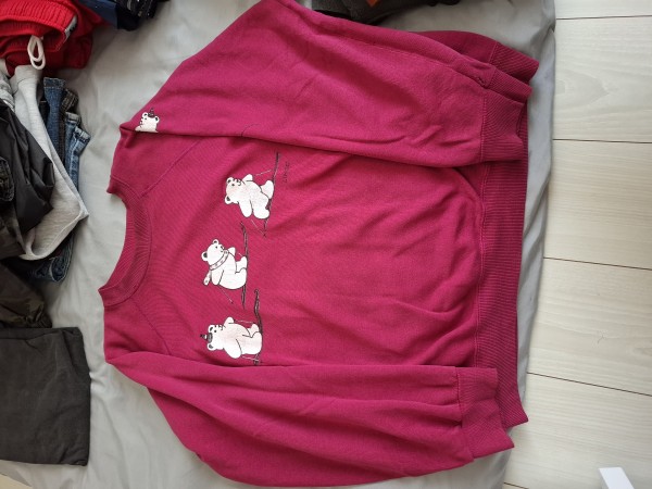 Legit check - Hanes skiing bear sweatshirt