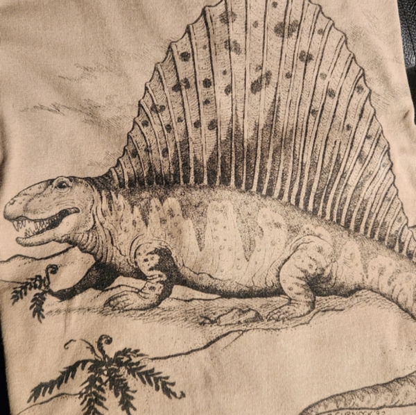 WANTED - 80s-90s B. Curnock Dinosaur Geographics