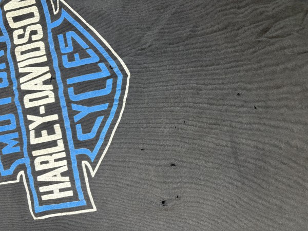 Harley Blue Flame Long sleeve
