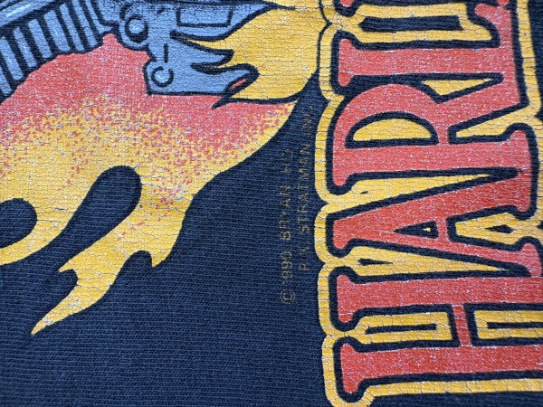 Harley Blue Flame Long sleeve