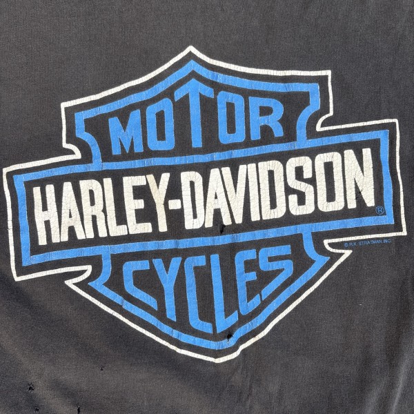 Harley Blue Flame Long sleeve