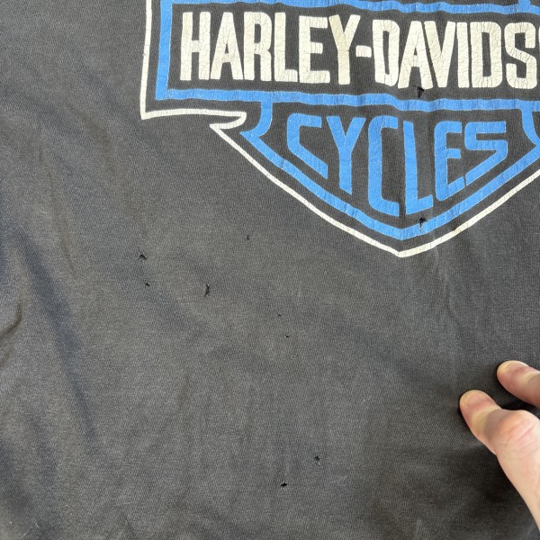 Harley Blue Flame Long sleeve