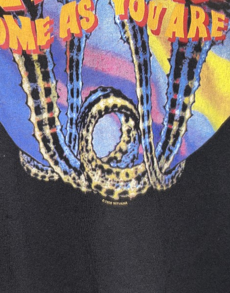 Lc Nirvana 2006