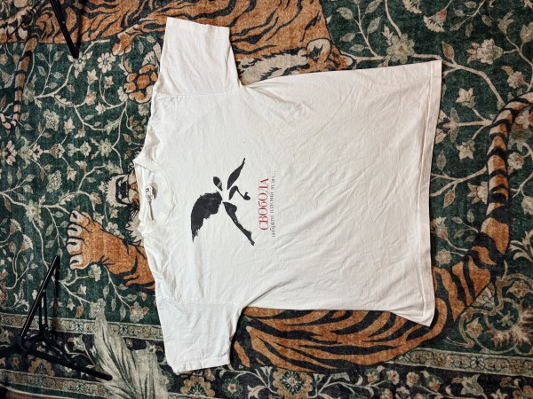Cool shirt with little info