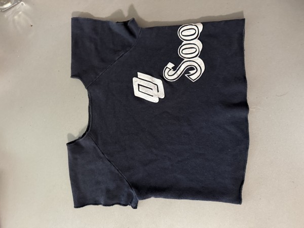 WHAT is this 😭 70s? collegiate pacific cropped sweatshirt