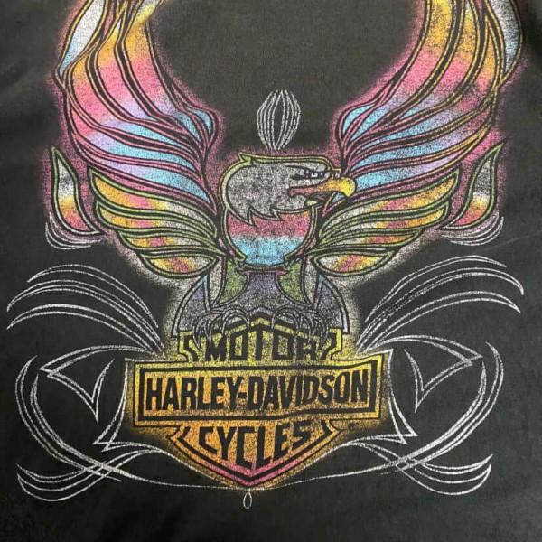 LC Harley Davidson weird tag first time seeing