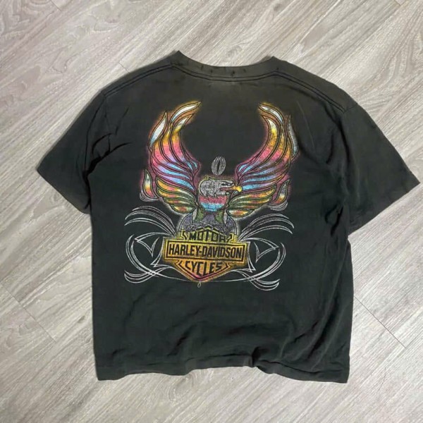 LC Harley Davidson weird tag first time seeing