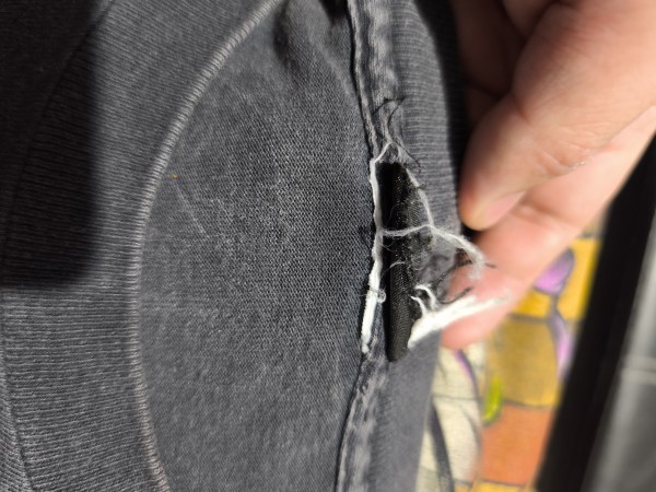 Taz Legit Check