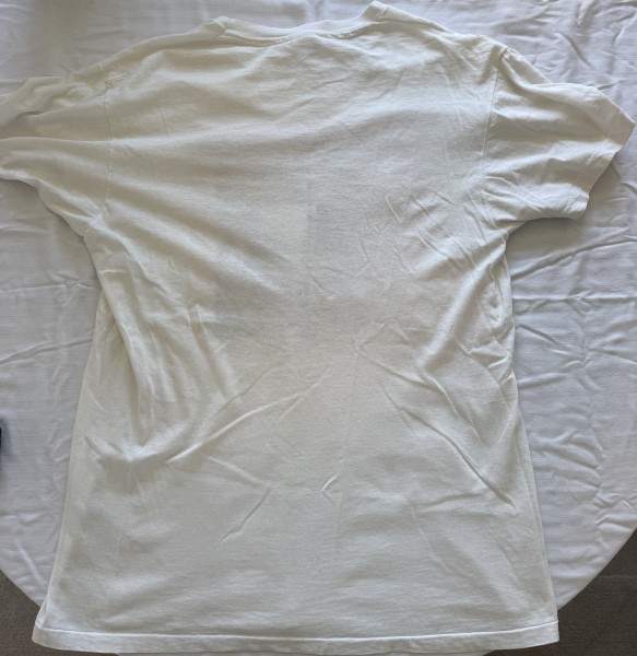 1987 Sonic Youth Sister LP Tee authentication