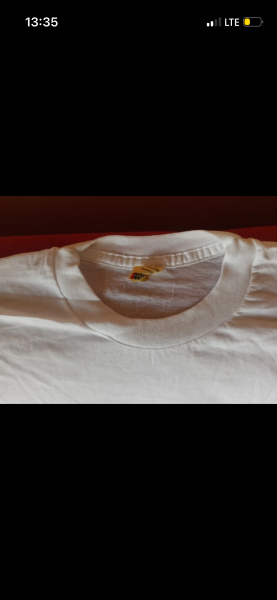 Pink Floyd 1994 Italy Tour Shirt (Screen Stars)