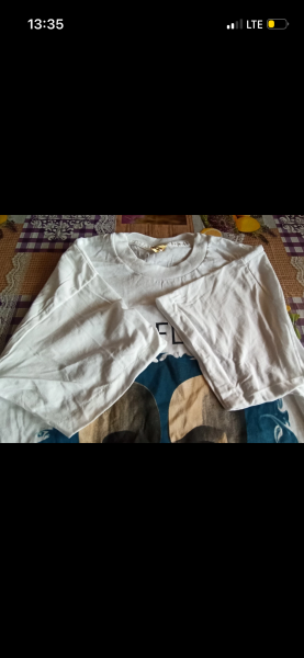 Pink Floyd 1994 Italy Tour Shirt (Screen Stars)