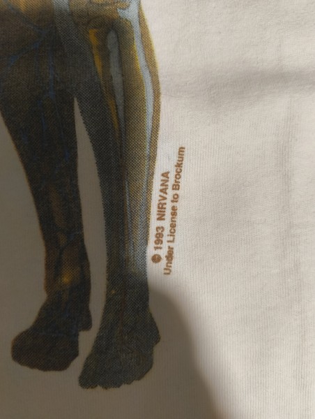 LC Check - Brockum - In Utero / Brown Edition
