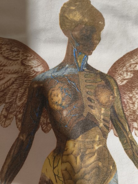 LC Check - Brockum - In Utero / Brown Edition