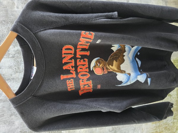LC 1988 The land before time sweatshirt
