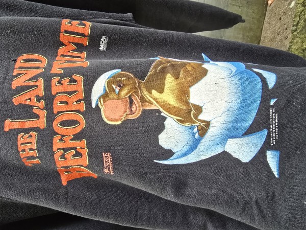 LC 1988 The land before time sweatshirt