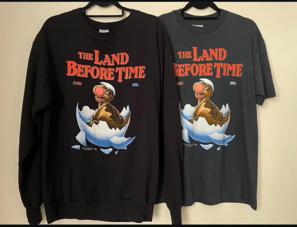 LC 1988 The land before time sweatshirt
