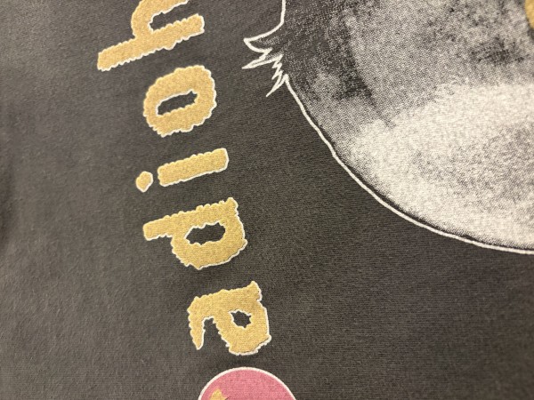 Please help to legit check this Radiohead Pablo honey vintage shirt