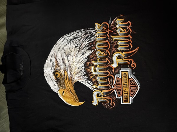 1980’s Harley Davidson 3D emblem t’s near mint condition