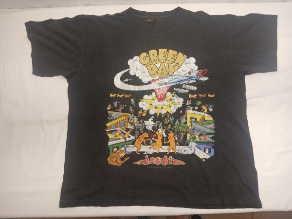 Green day "eat you parents" and dookie shirts + RATM fist/molotov