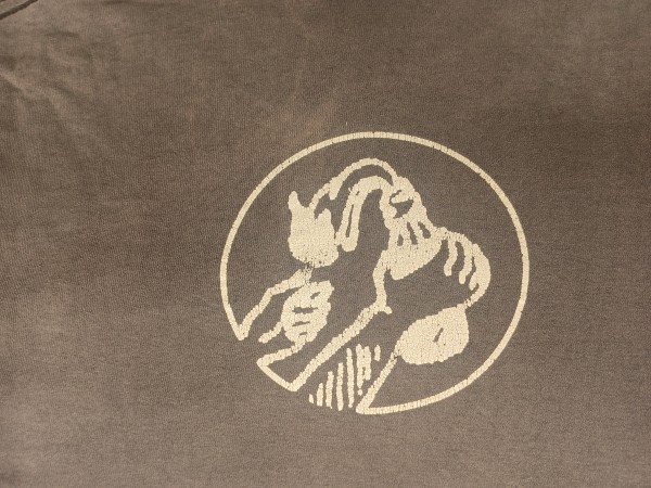 Green day "eat you parents" and dookie shirts + RATM fist/molotov