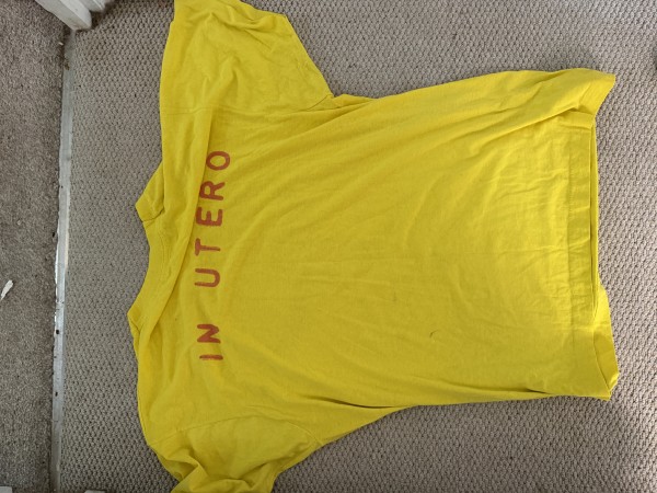 Mid 90s bad shirts uk ( nirvana, pwei and offspring)