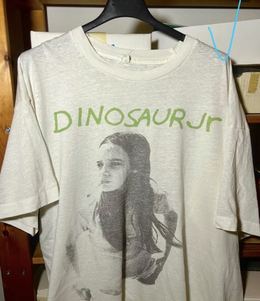 Dinosaur jr green mind tour