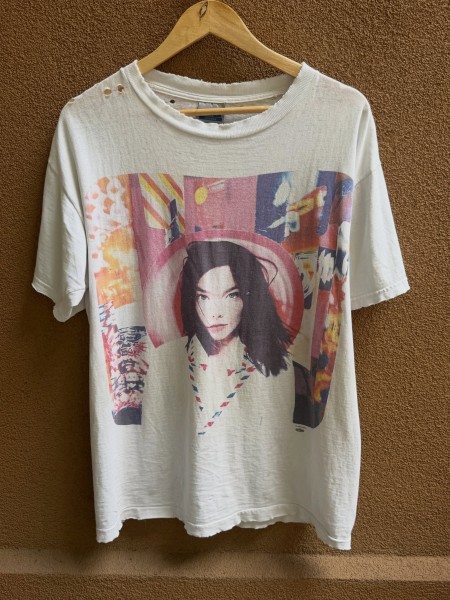another bjork post album