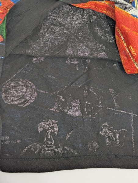 Authentication on Space Jam shirt Tultex tag