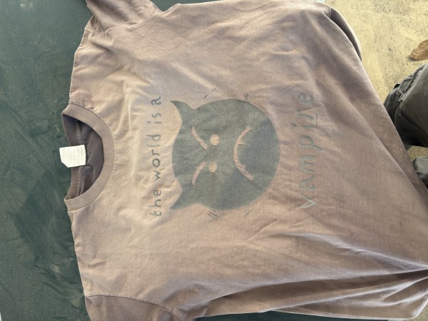 Legit check Smashing Pumpkins faded world is a vampire