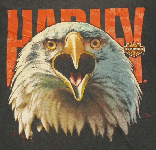 Harley Davidson Squawking Eagle Shirt