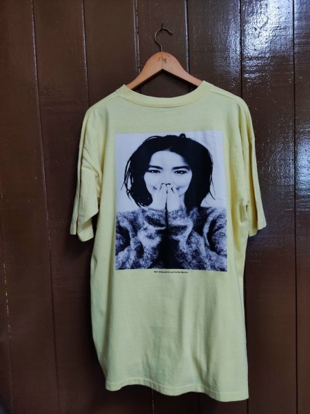 BJORK ON PRAIRIE MOUNTAIN 90s T SHIRT