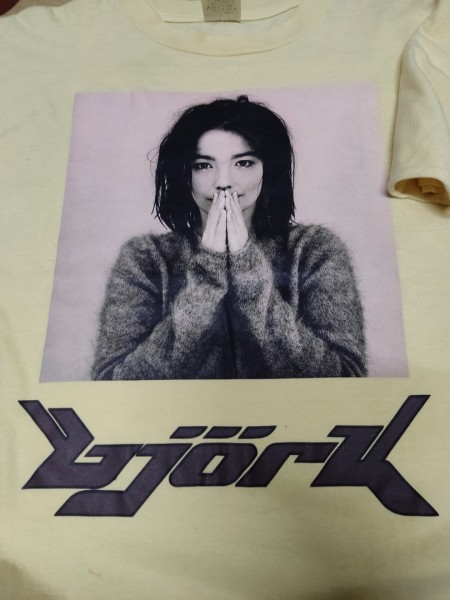 BJORK ON PRAIRIE MOUNTAIN 90s T SHIRT