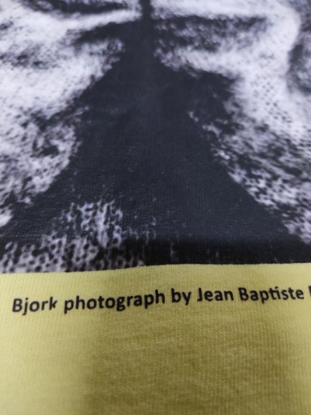 BJORK ON PRAIRIE MOUNTAIN 90s T SHIRT