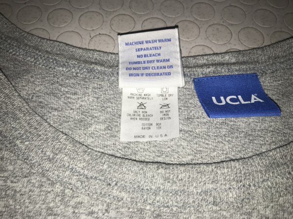 UCLA Champion shirt