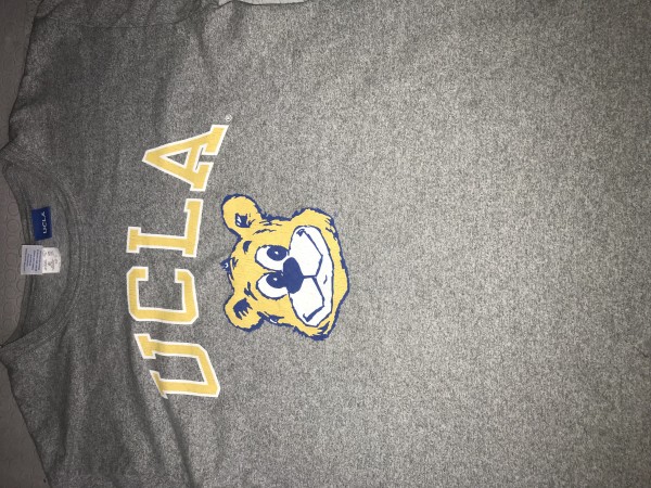 UCLA Champion shirt