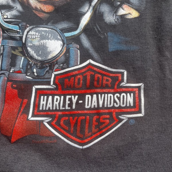 3D Emblem/Holoubek Harley Davidson Tees