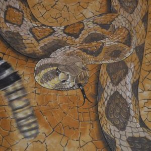 Vintage 90s Western Desert Snake Scorpion Spider T-Shirt - L