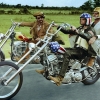 Easy Rider