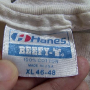 Hanes Beefy T - Defunkd