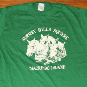 Surrey Hills Square Mackinac Island vintage t-shirt Medium