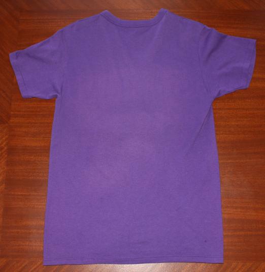 Minnesota Vikings vintage purple Champion t-shirt M/S